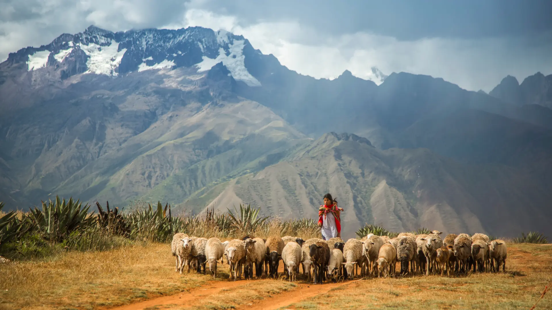 Sacred Valley Full Day Tour: Discover Peru’s Cultural Heart